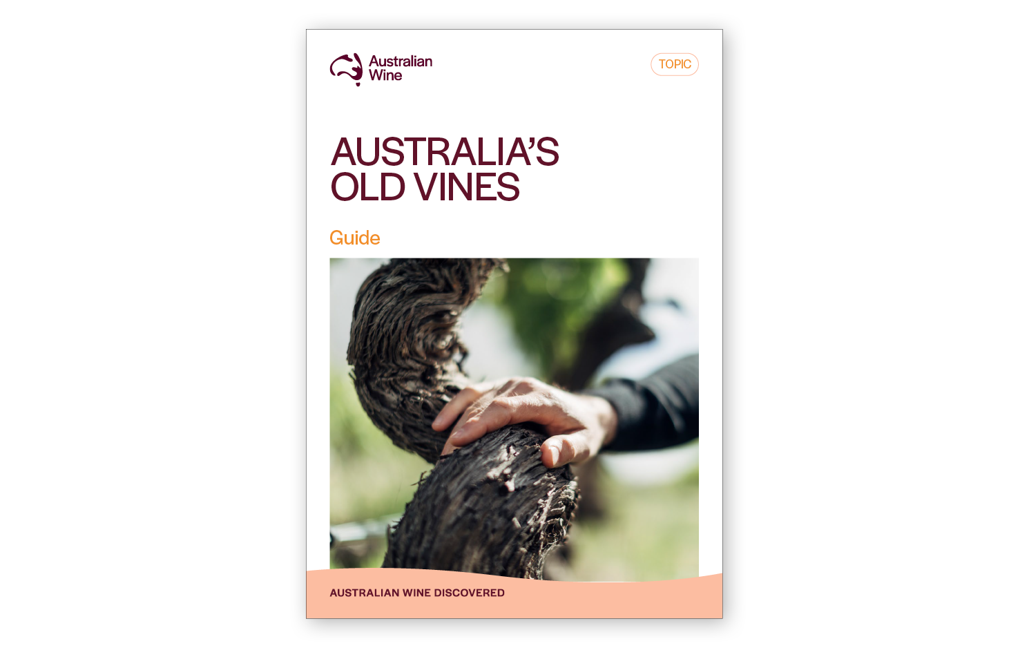 a hand on a vine