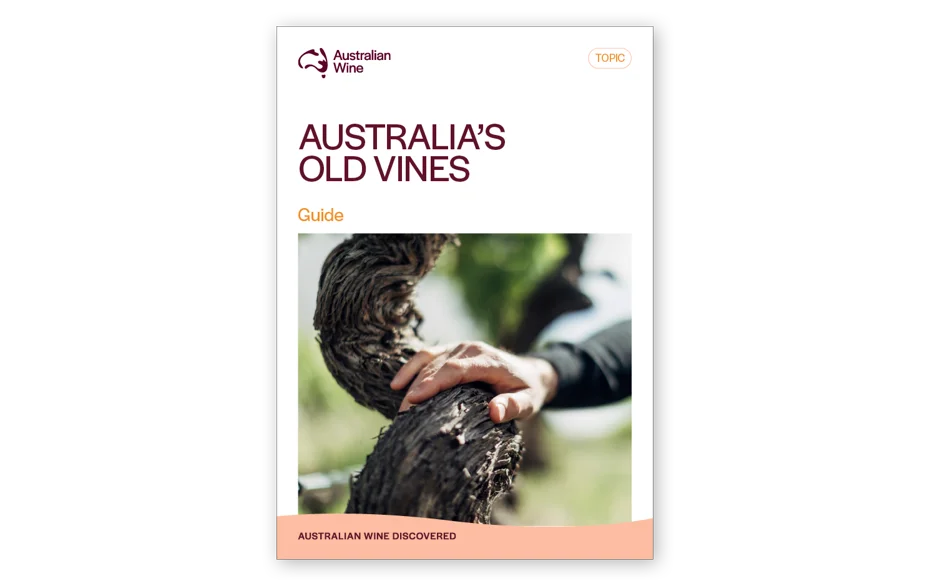 a hand on a vine