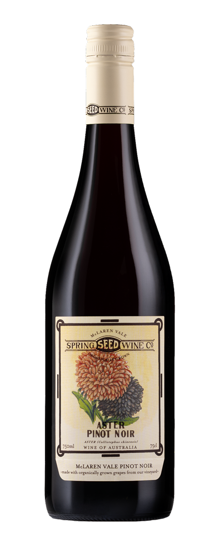 Aster Pinot Noir   2024