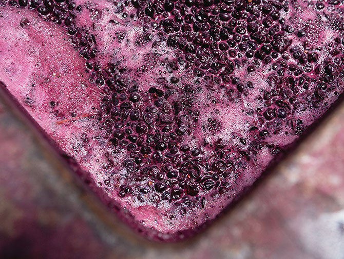 Red wine fermentation