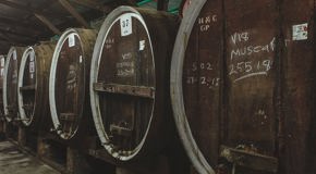 Large wine barrels