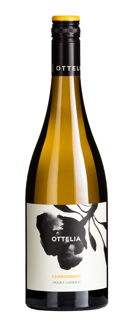 Chardonnay   2024