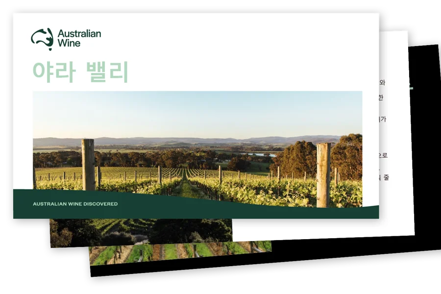 a close-up of a vineyard