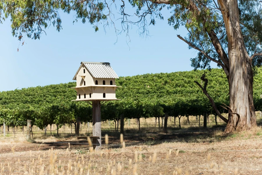 Yangarra Estate Vineyard, McLaren Vale, SA