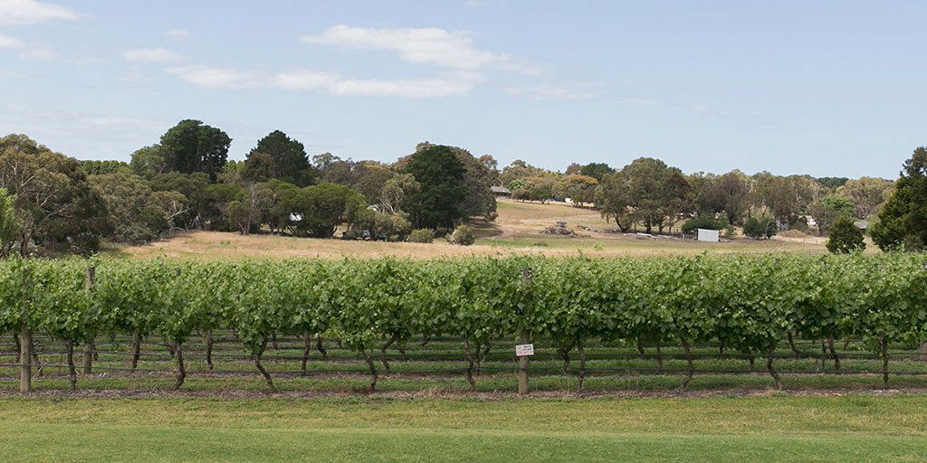 Geelong: From volcanic valleys to coastal cool