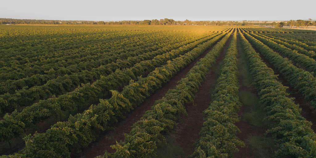 Riverina