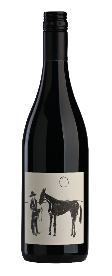 Shiraz   2023
