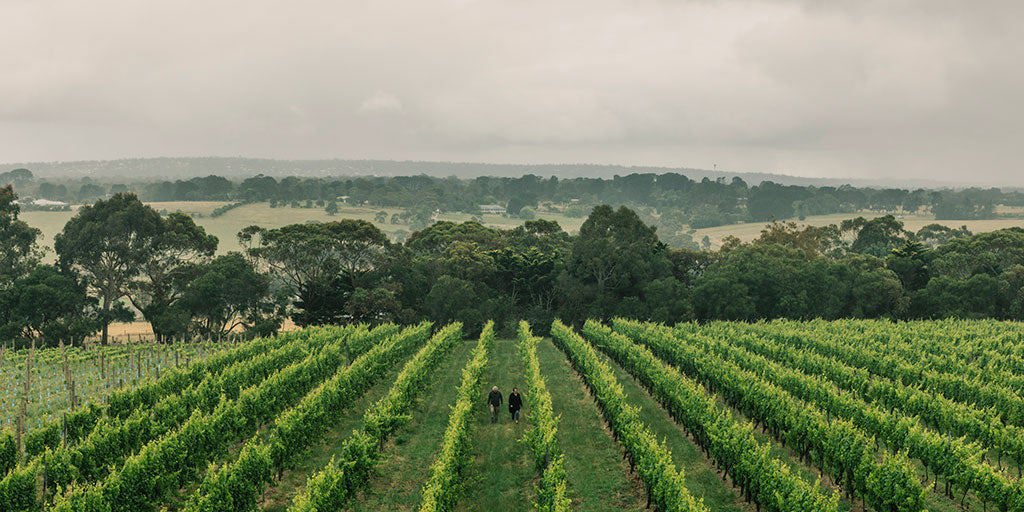Australian wine community is open for business