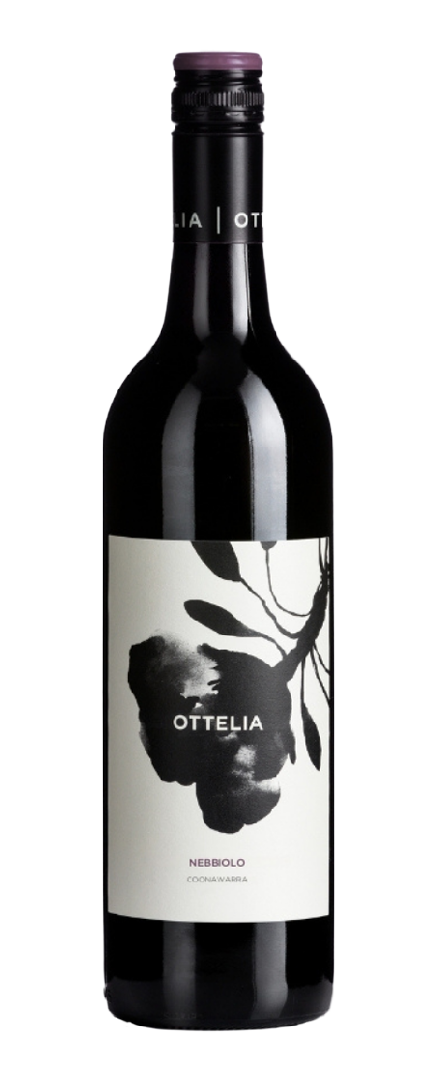 Nebbiolo   2024