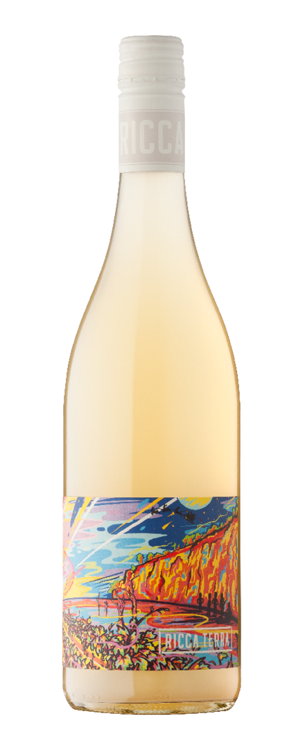Skin Contact White Field Blend Trebbiano Greco  2022