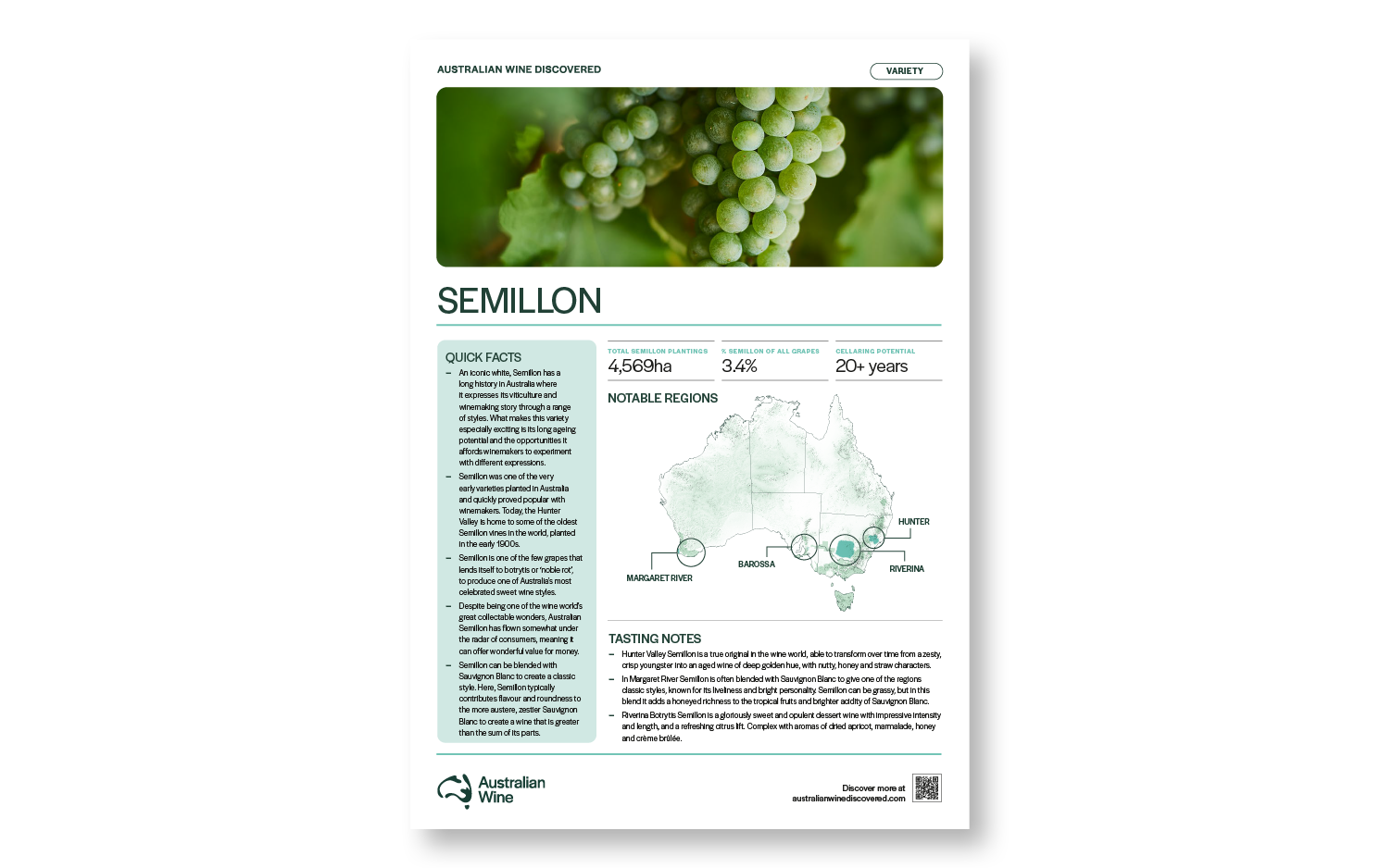 a close-up of a brochure