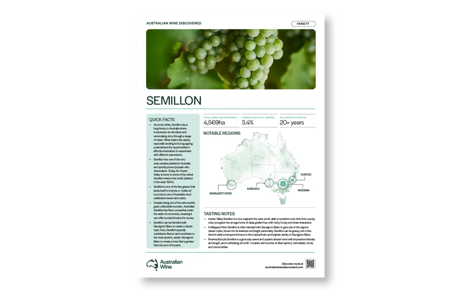 a close-up of a brochure