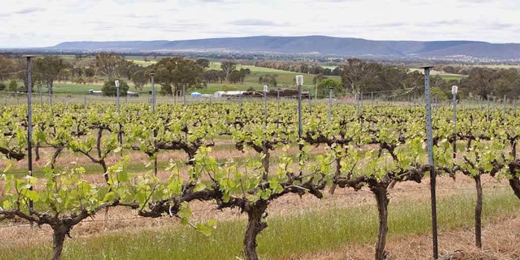 Hilltops: A cool-climate gem uncovered