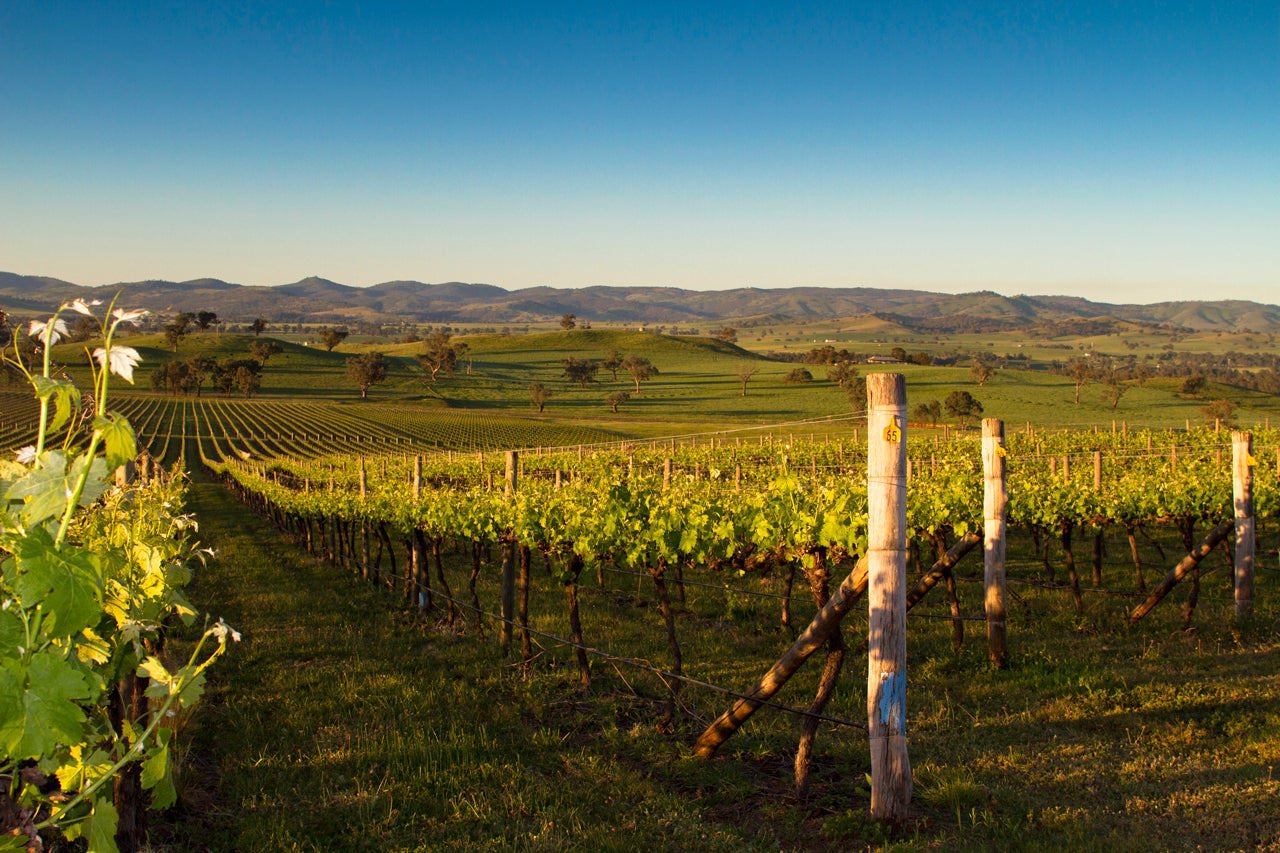 Gundagai: Iconic history meets exciting new wines