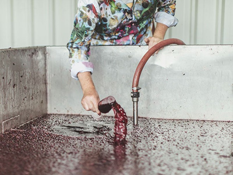 Sampling wine