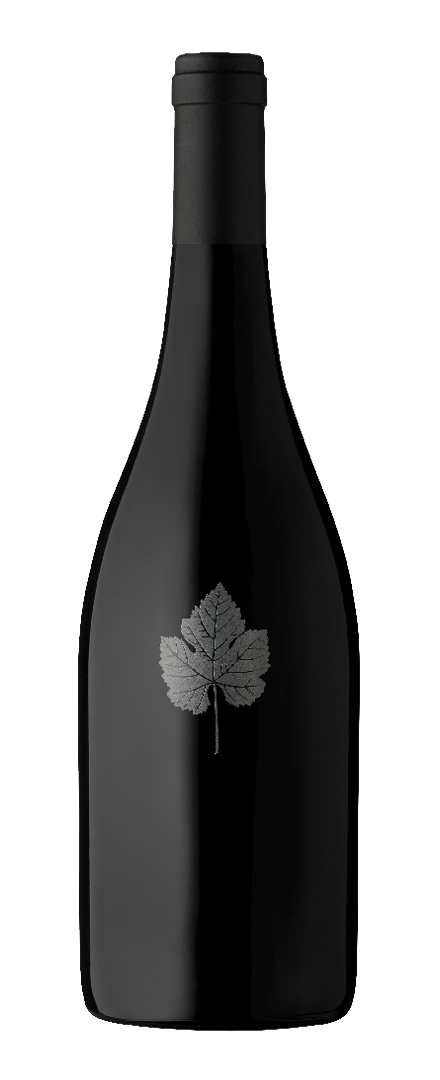 Q Shiraz   2017