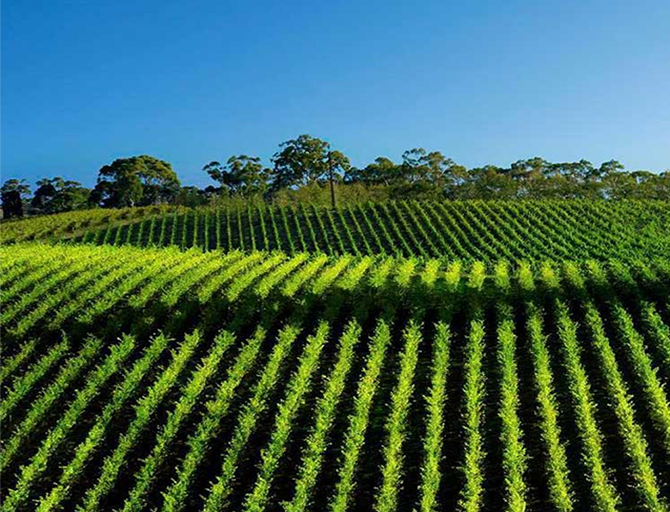 Blackwood Valley: Scenic home of hidden treasures
