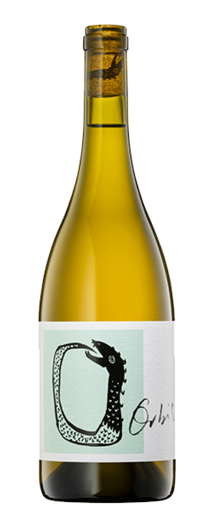 Albarino   2025