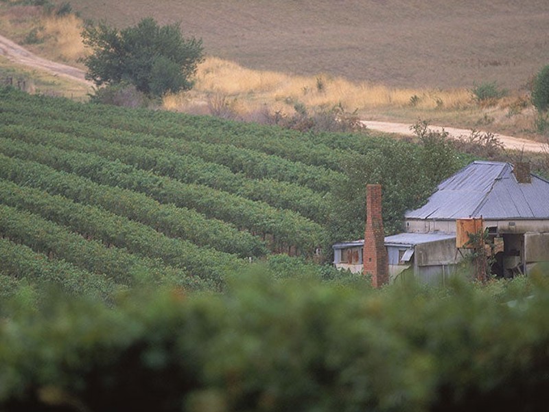 Vineyard shed in Clare Valley vineyard