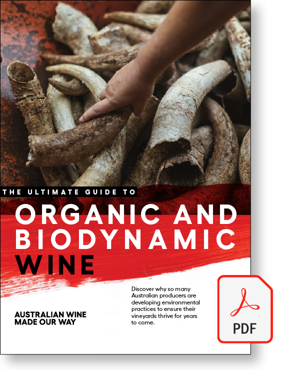 Organic and Biodynamic Wine