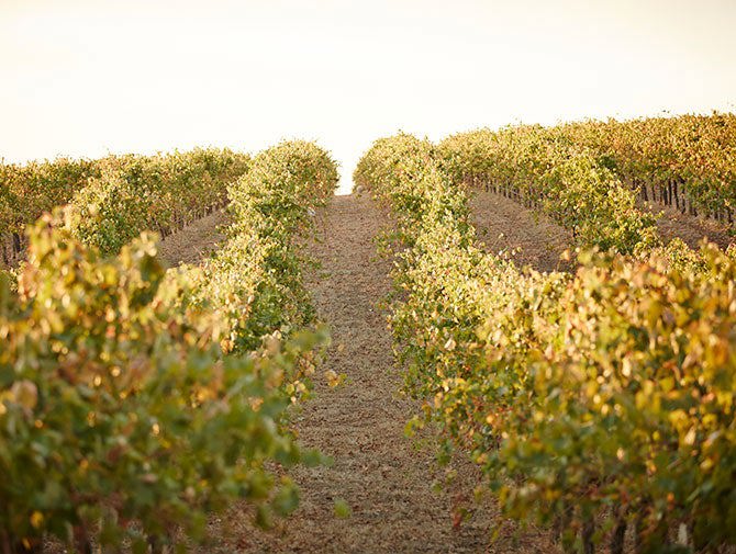 Glenrowan wine region Australia