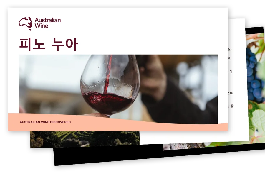 a person pouring wine into a glass