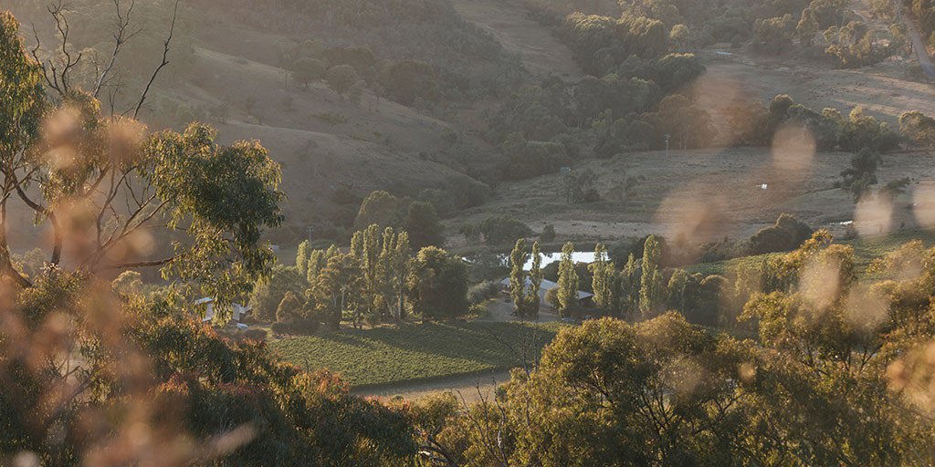 6 lesser-known Aussie wine regions to visit