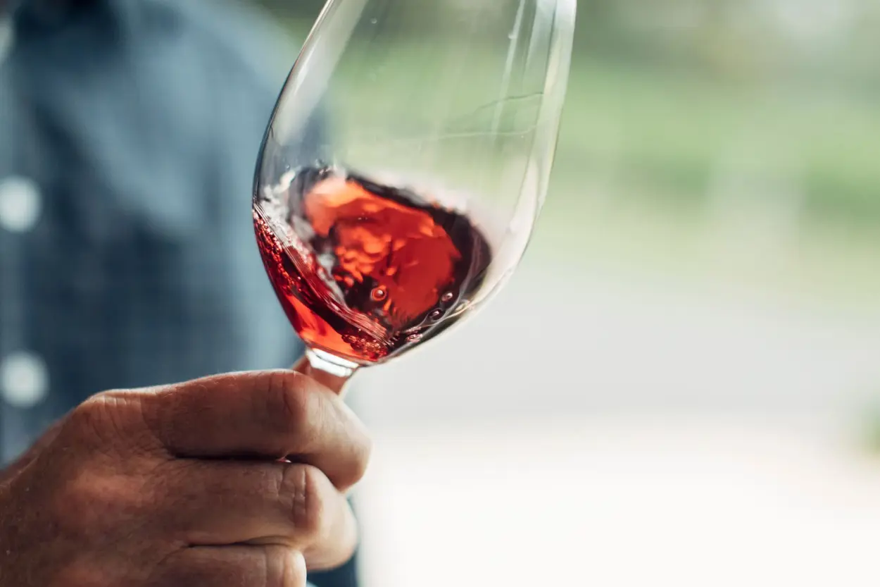 a hand holding a glass of red wine