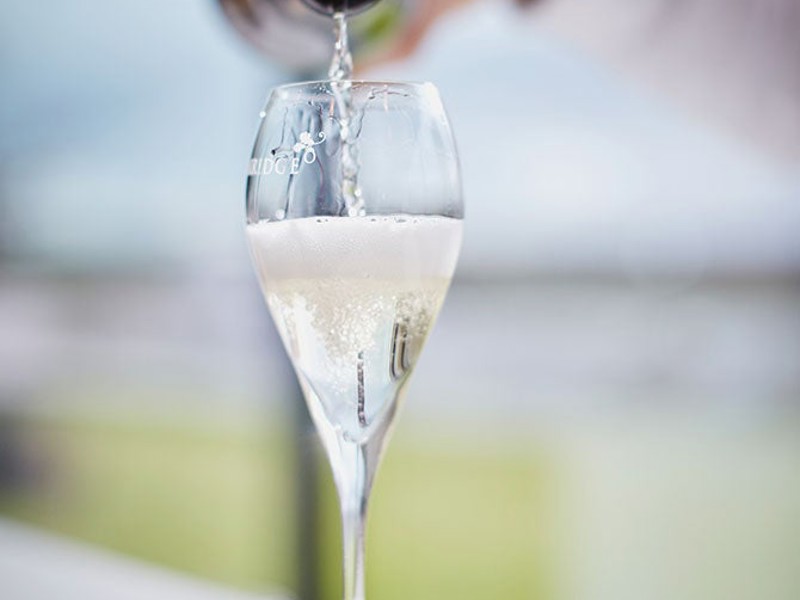 Sparkling wine poured into glass