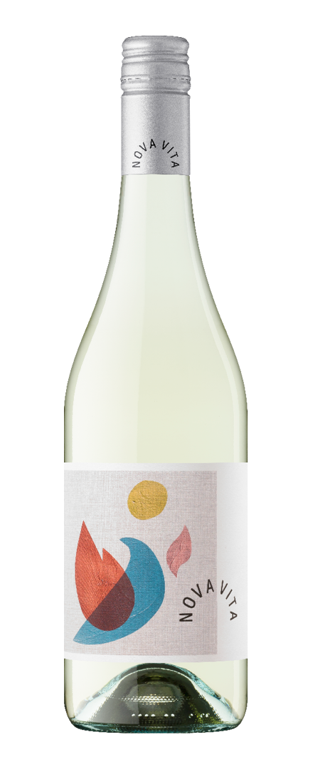 Sauvignon Blanc   2021