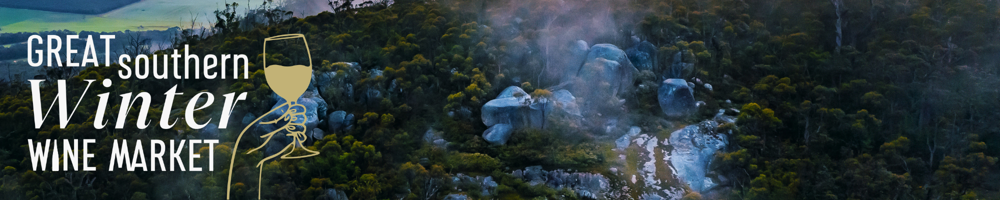a foggy forest with rocks and trees