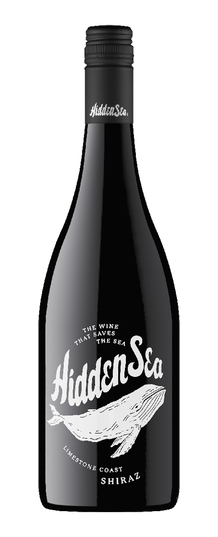Shiraz   2023