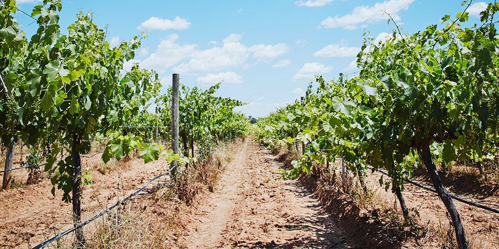 Goulburn Valley: Where unexpected treasures await 