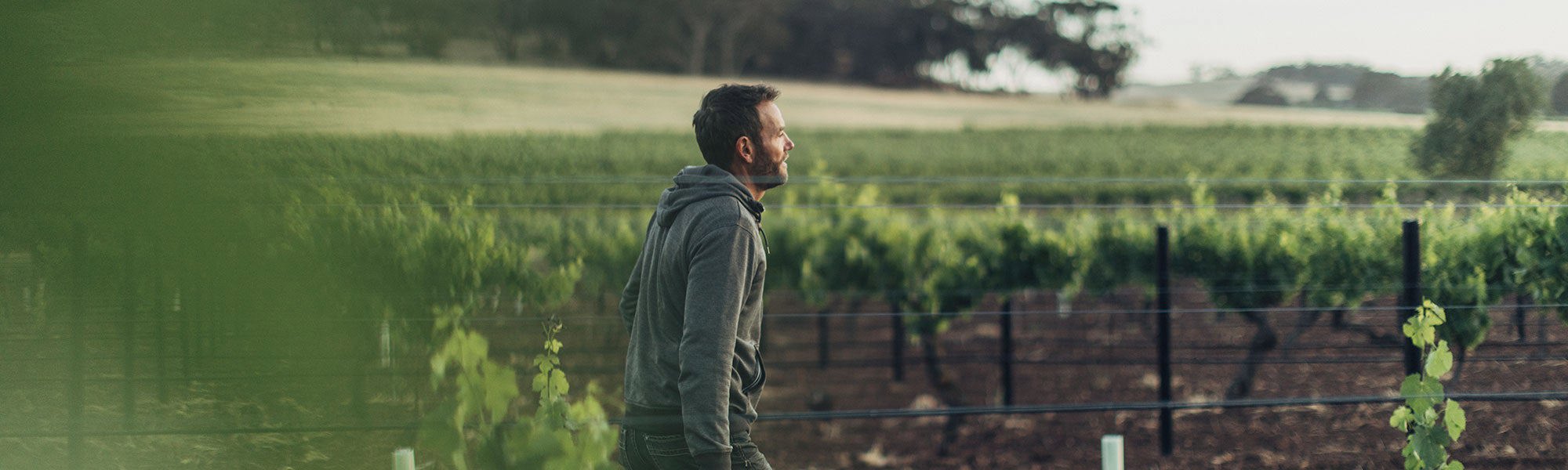 Kym Kalleske in vineyard
