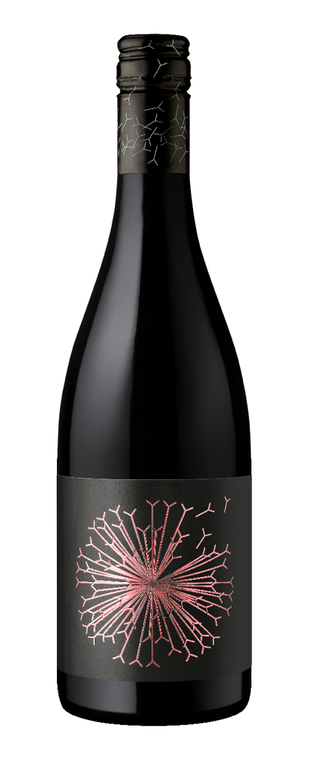 Faraway Tree Grenache   2022