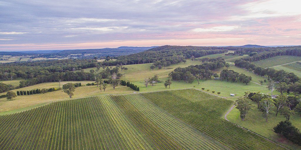 Southern Highlands: Diverse Wines at Altitude