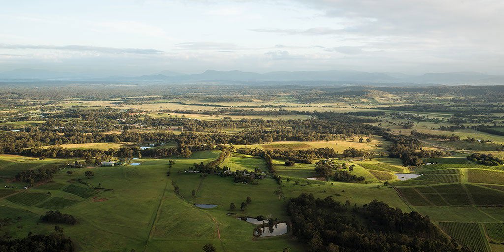 The ultimate guide to New South Wales wine regions