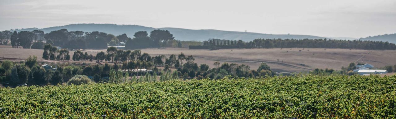 Map highlighting the Macedon Ranges wine region