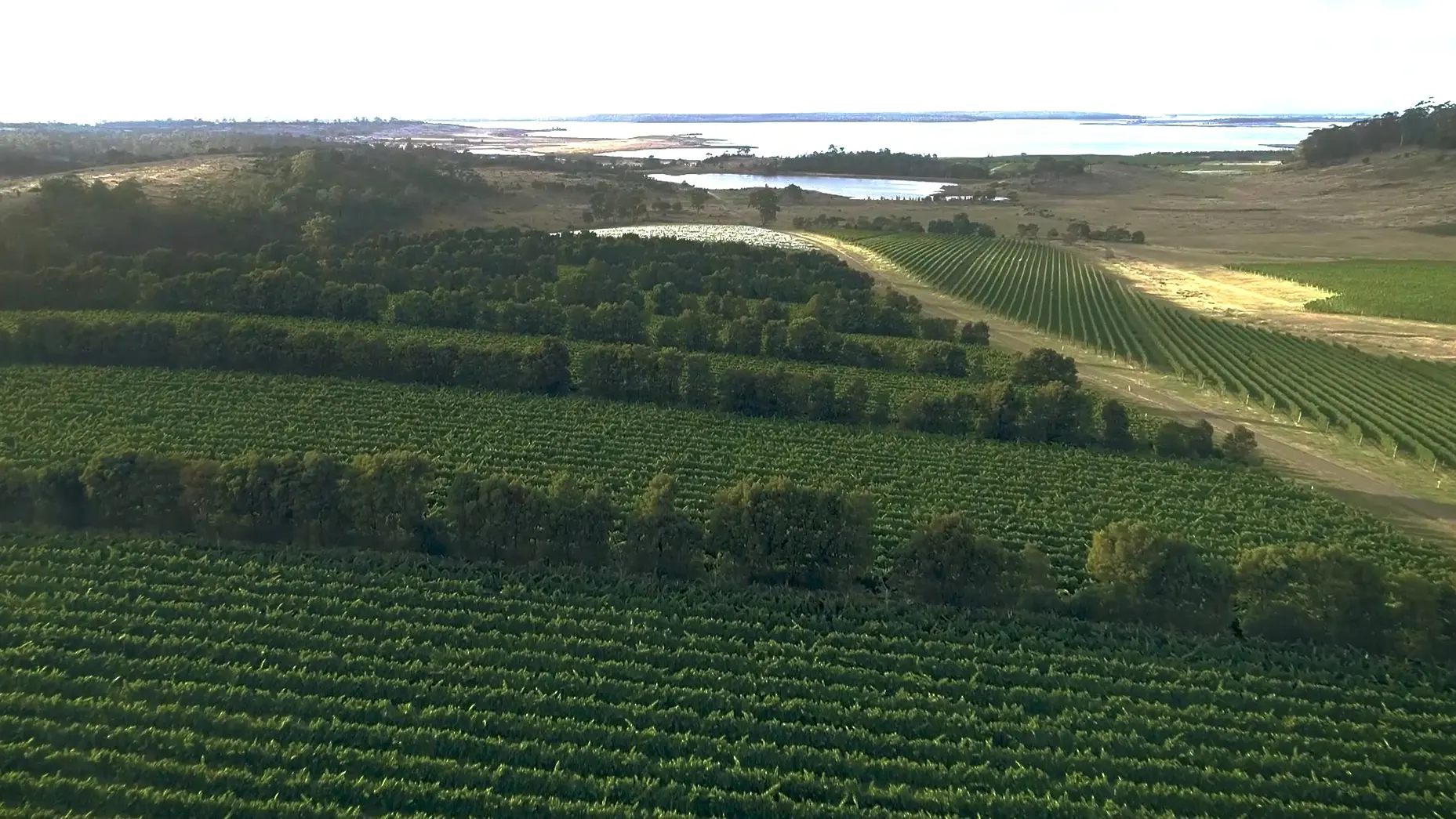 a aerial view of a farm