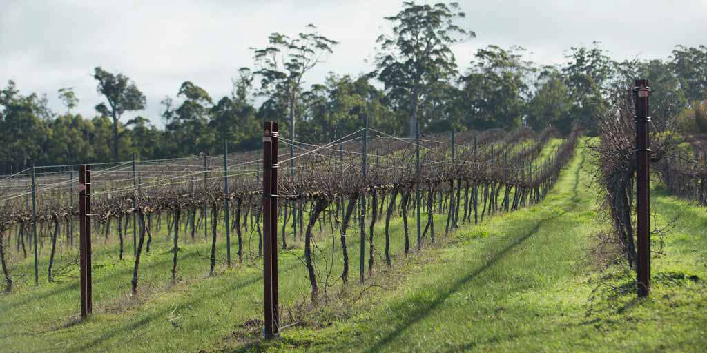Map highlighting the Manjimup wine region