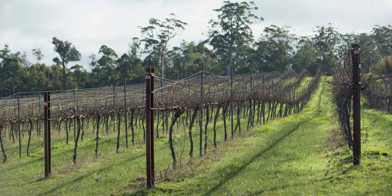 Map highlighting the Manjimup wine region
