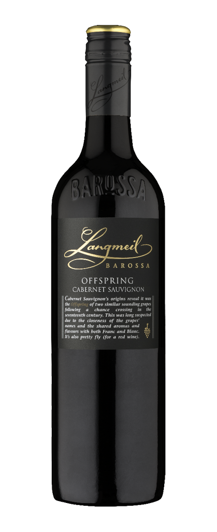 Village Wines Offspring Cabernet Sauvignon   2019