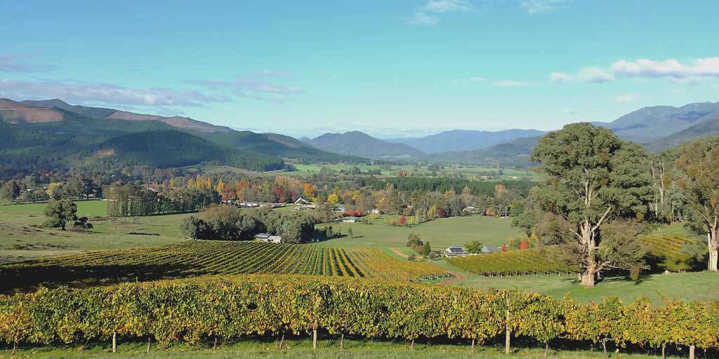 Alpine Valleys