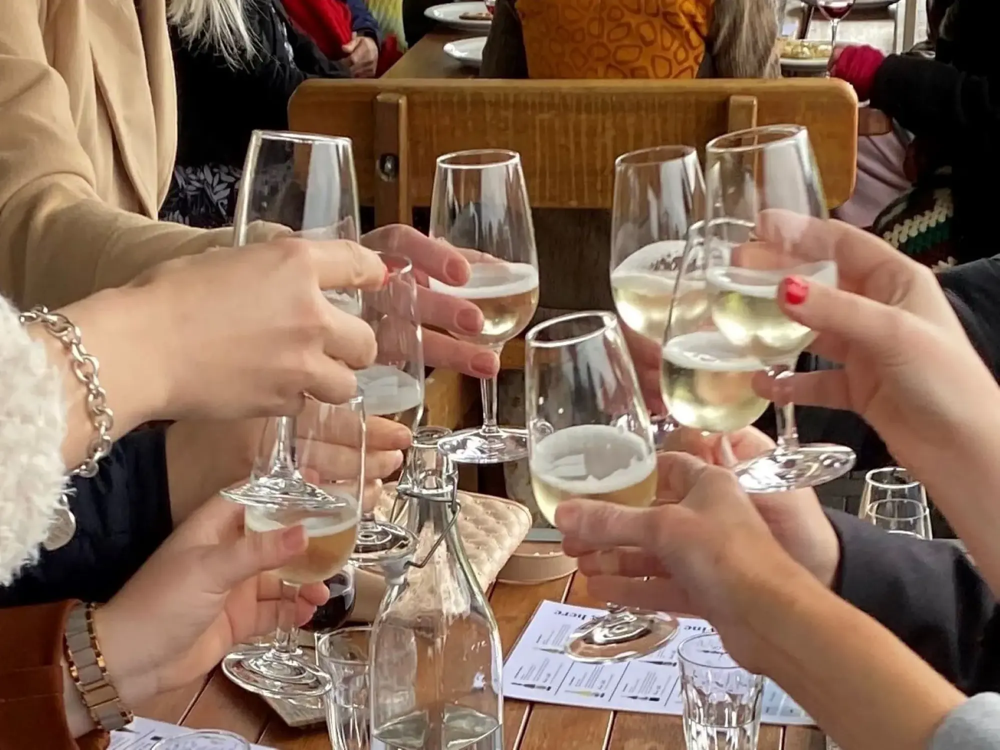 a group of people holding wine glasses