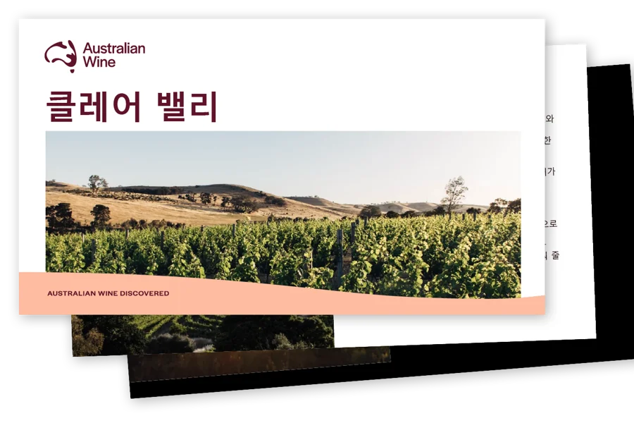a screenshot of a photo of a vineyard