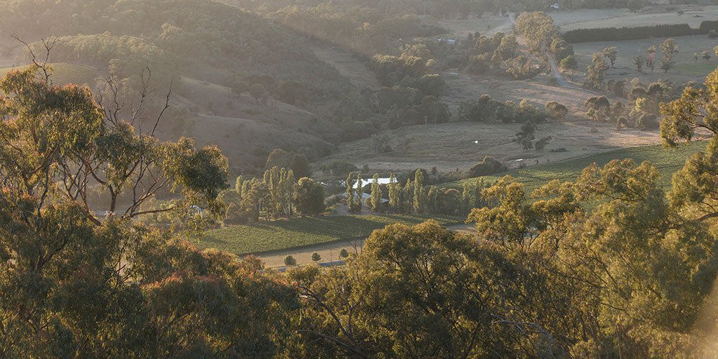 King Valley