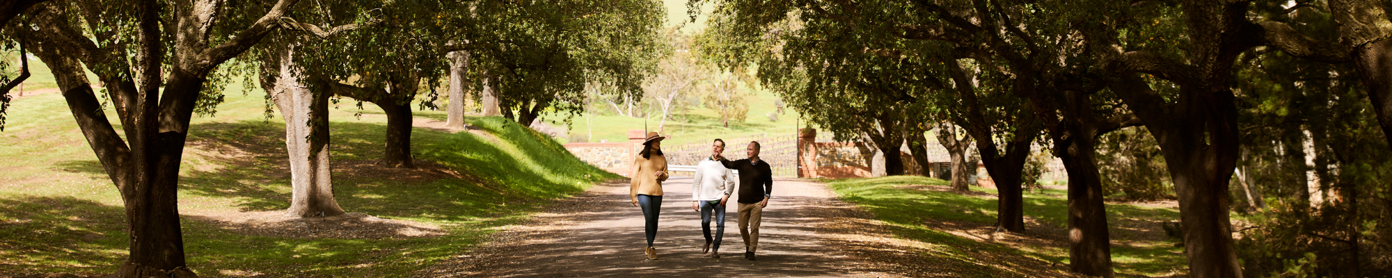 a group of people walking on a path
