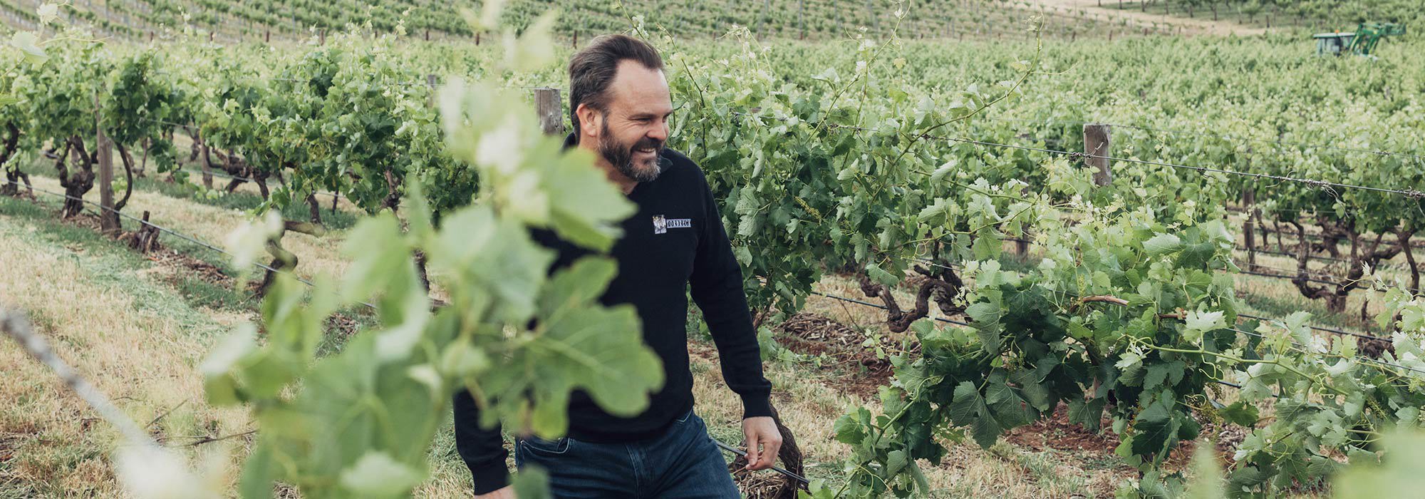 Ian Hongell in vineyard