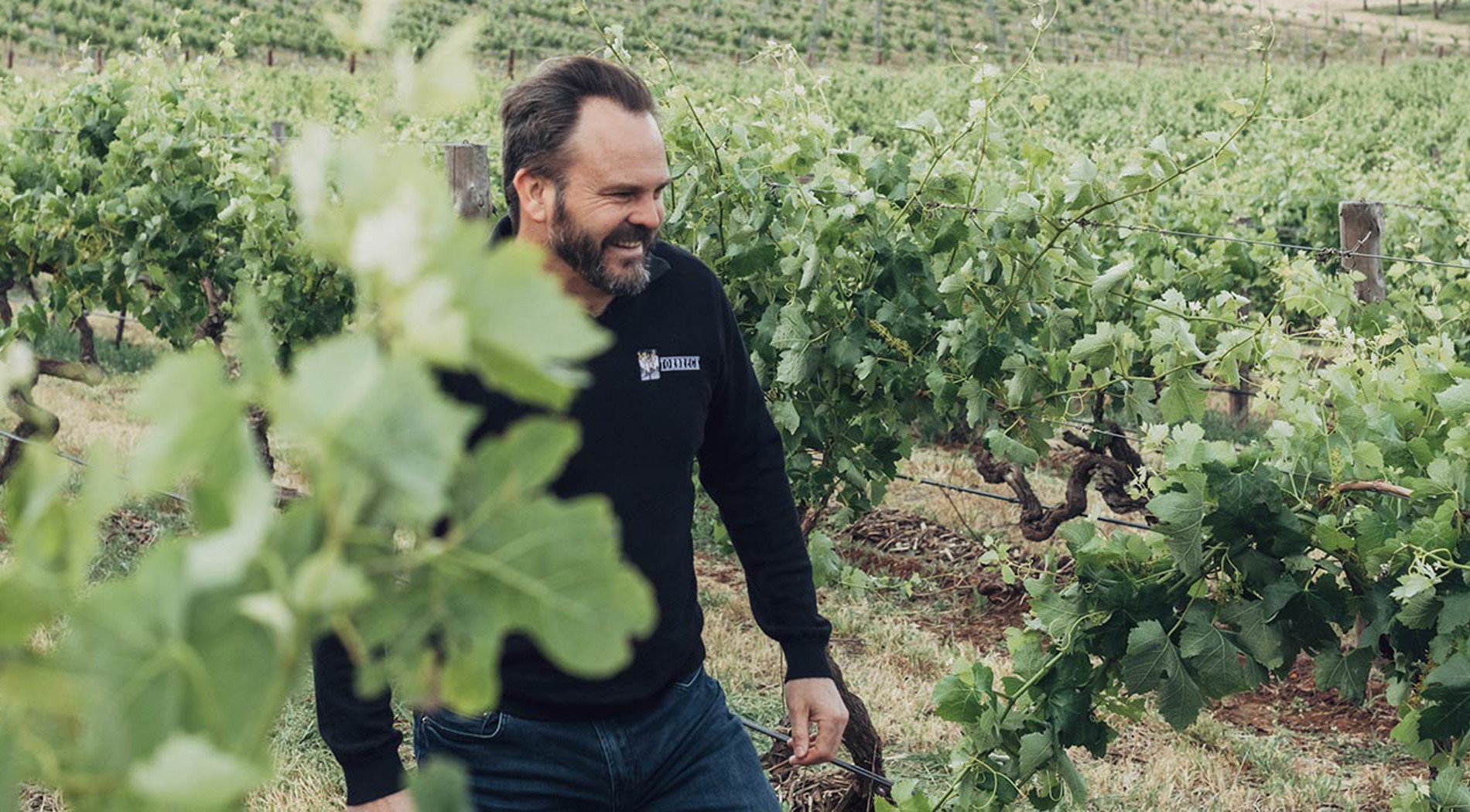 Ian Hongell in vineyard
