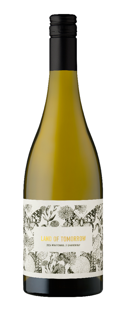 Chardonnay   2024